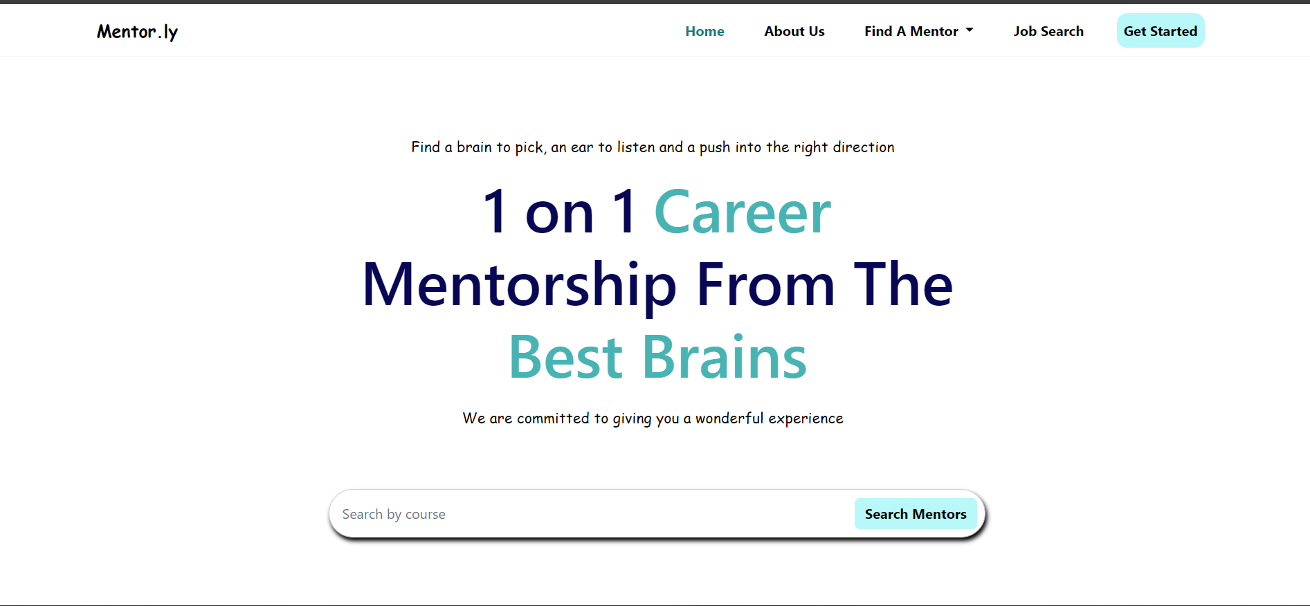 mentorship Website